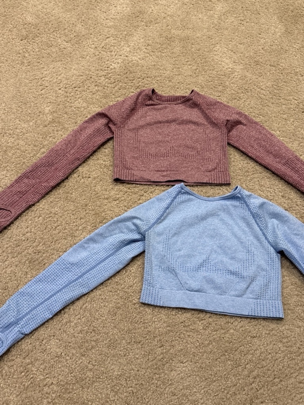 Seamless 2.0 Long Sleeve Crop Top Blue & Pink
